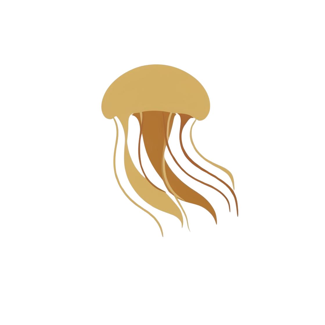 クラゲ